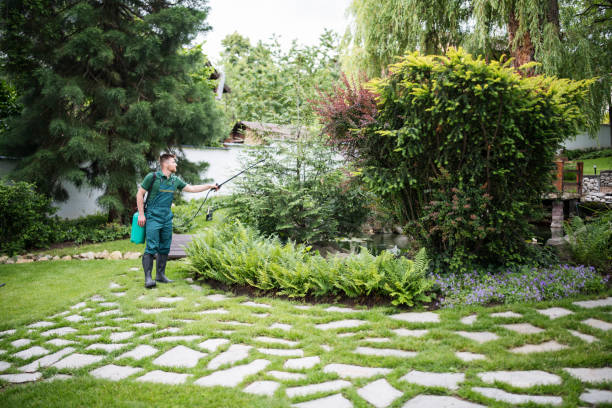 Best Exterminator Services  in Mp Pendleton South, CA