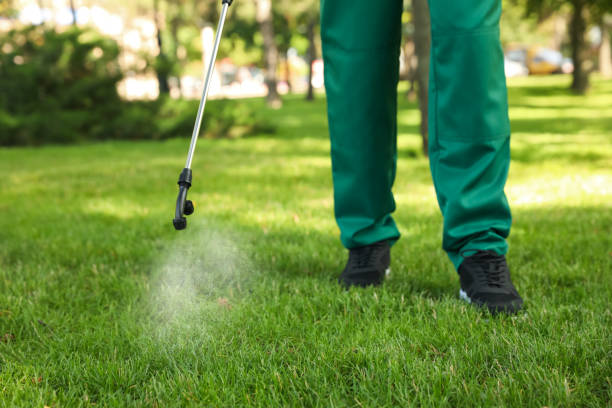 Best Insect Control  in Mp Pendleton South, CA