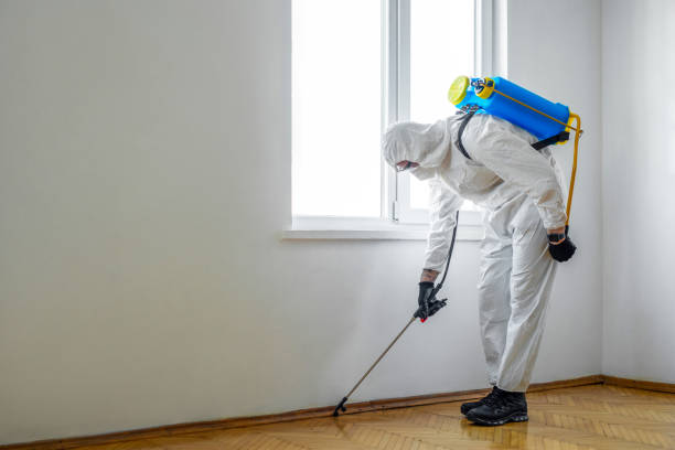 Best Pest Control for Businesses  in Mp Pendleton South, CA