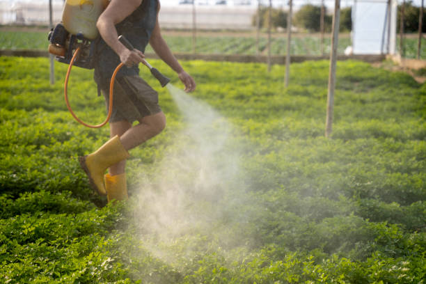 Best Best Pest Control Companies  in Mp Pendleton South, CA