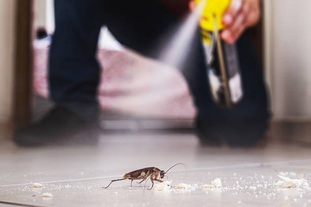 Best Cockroach Control Services  in Mp Pendleton South, CA