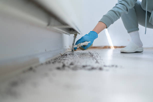 Best Bed Bug Extermination  in Mp Pendleton South, CA