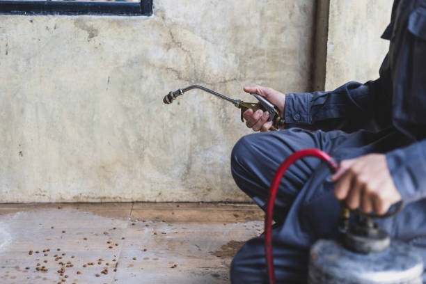 Best Pest Prevention Services  in Mp Pendleton South, CA